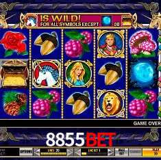 Descubra a Magia dos Jogos de Arcade no 8855BET