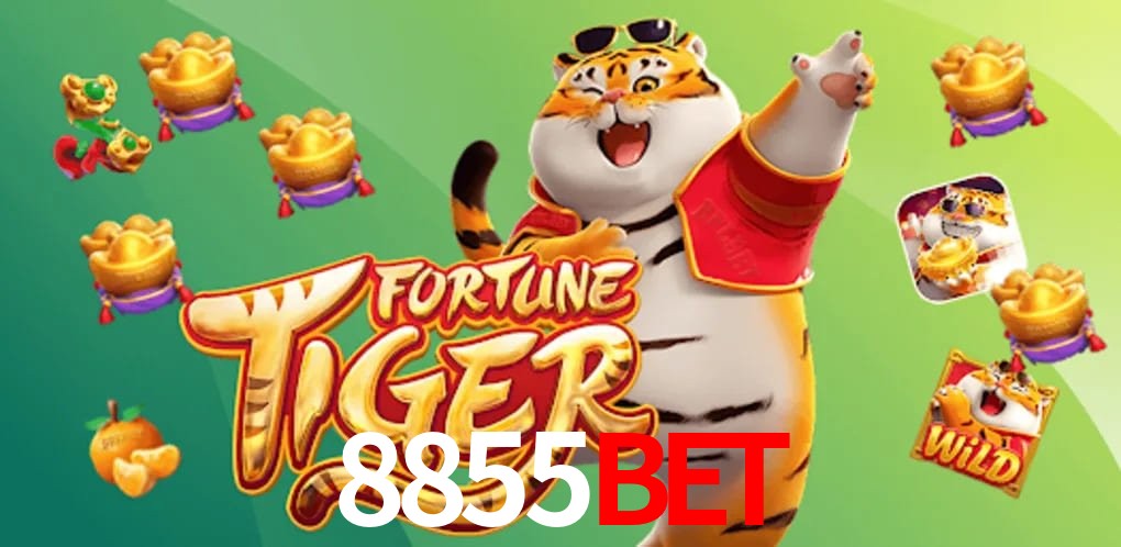 Statistics 8855BET