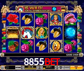 Descubra o Mundo do Cassino Online com 8855BET