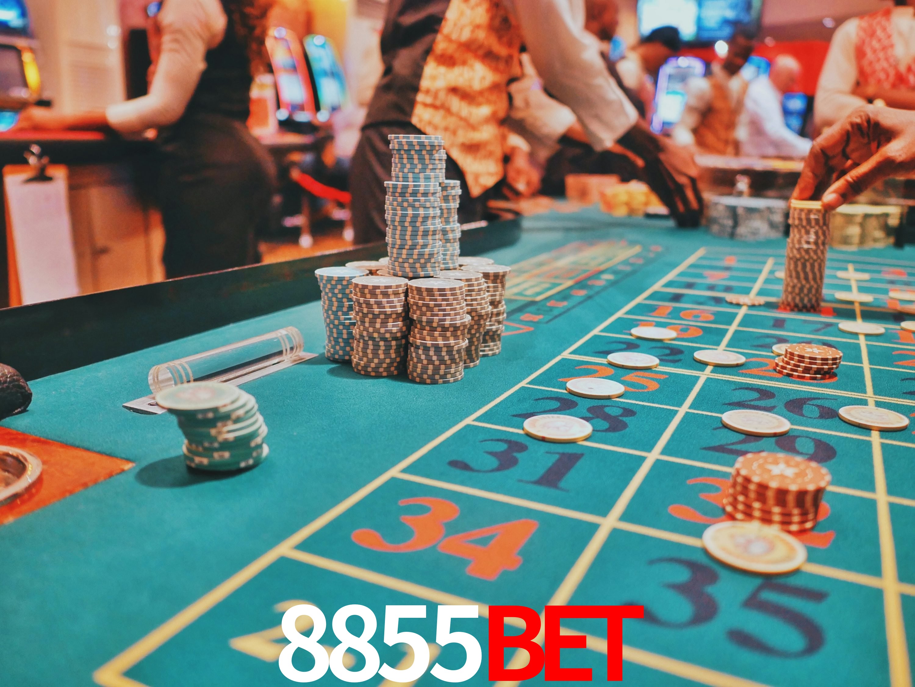 Estatísticas 8855BET