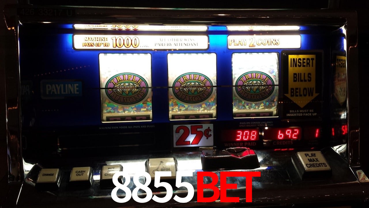 Crash Games Statistics 8855BET